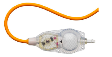 prog_cert_inline_bact